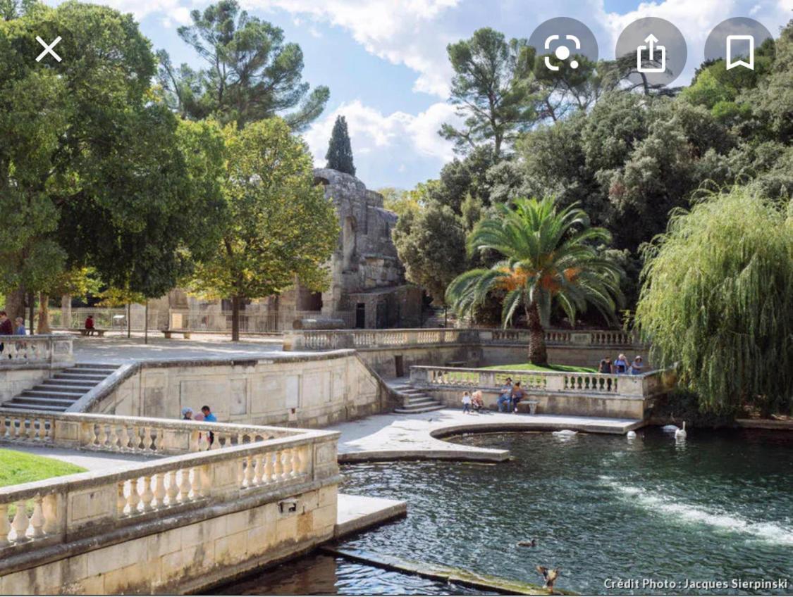 Gite Les Oliviers 10 Pers Piscine Au Calme 4 Etoiles Saint-Laurent-la-Vernède 外观 照片