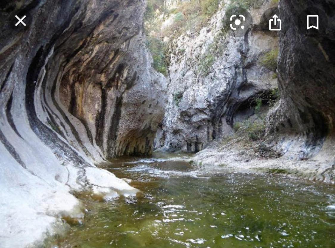 Gite Les Oliviers 10 Pers Piscine Au Calme 4 Etoiles Saint-Laurent-la-Vernède 外观 照片